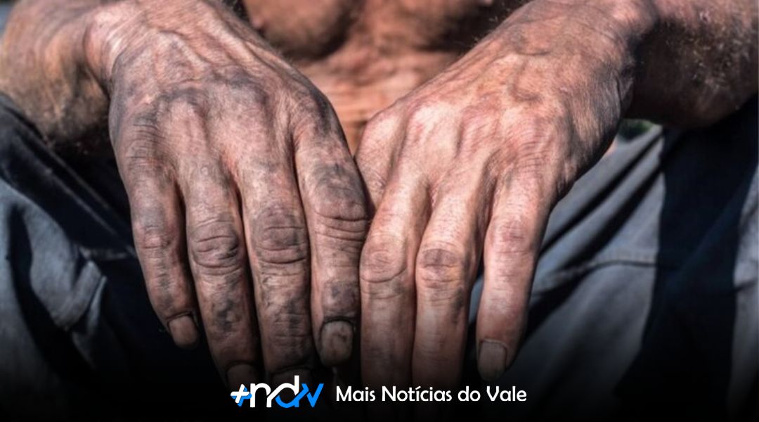 Vergonha nacional: SC tem 13 empregadores na lista de trabalho escravo