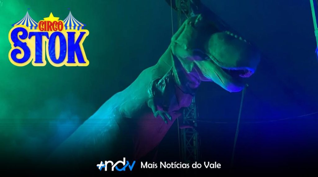 Apresentação durante show do Crico STOK