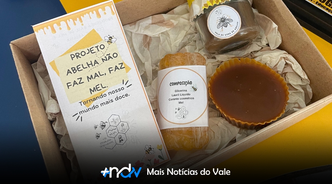 “Abelha não faz mal, faz mel”: projeto de crianças da Educação Infantil conquista premiações nacionais e inspira consciência ambiental