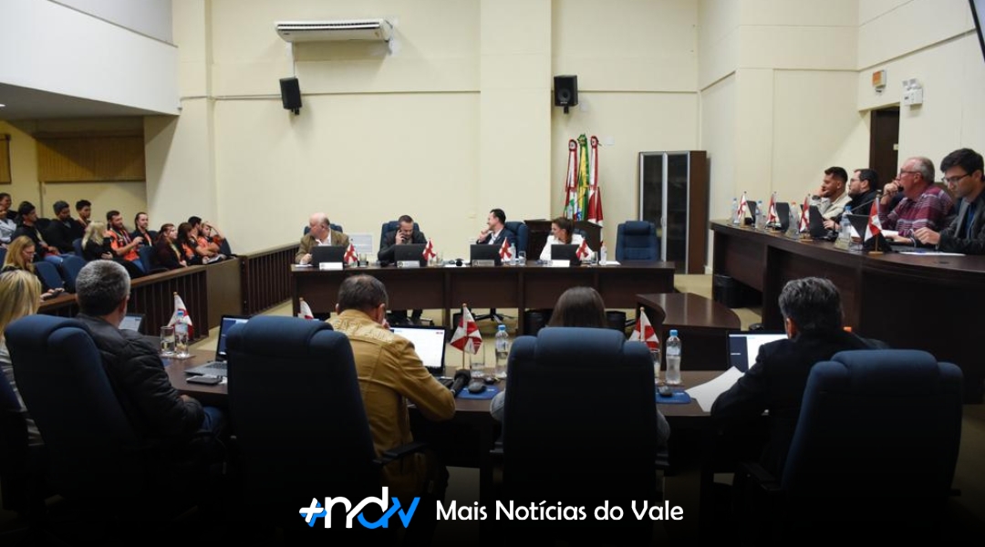 Câmara de Indaial votará projeto que obriga socorro a animais atropelados nesta terça-feira