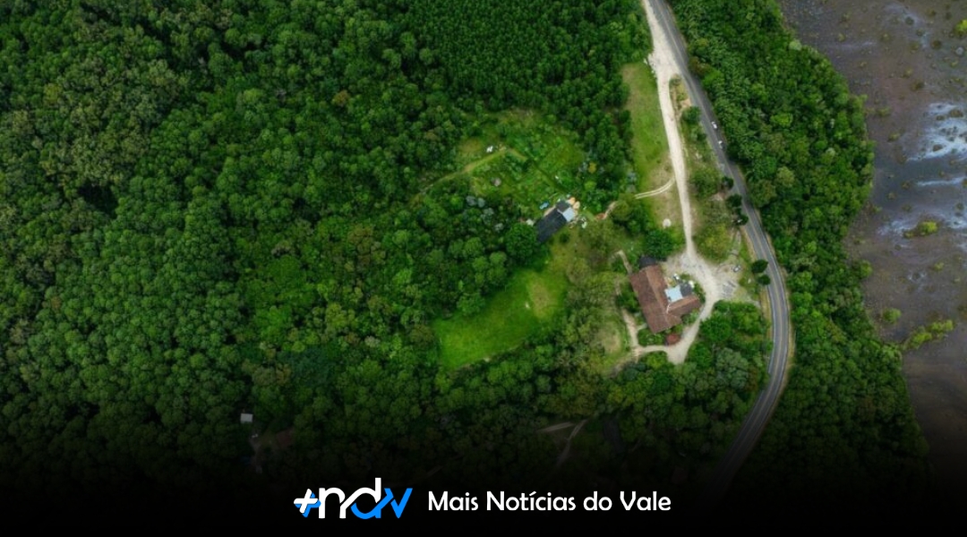 Trilha “escondida” em Santa Catarina revela santuário ecológico com animais exóticos
