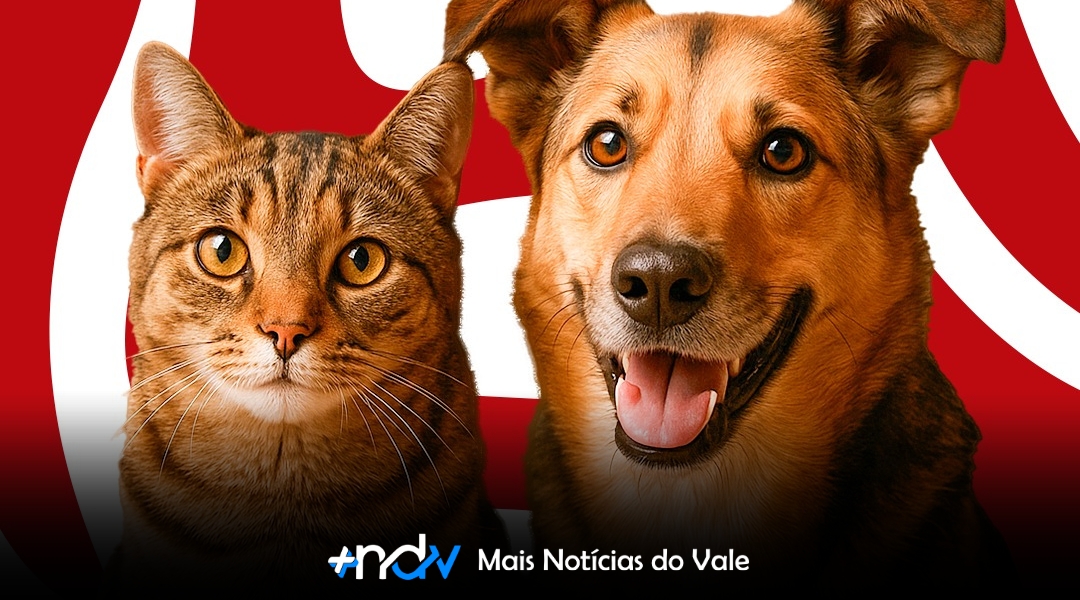Mutirão de Castração de Cães e Gatos será realizado em Indaial no dia 20 de julho