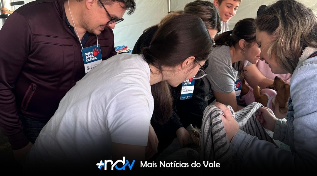 Mutirão de Castração em Blumenau alcança sucesso e beneficia centenas de animais