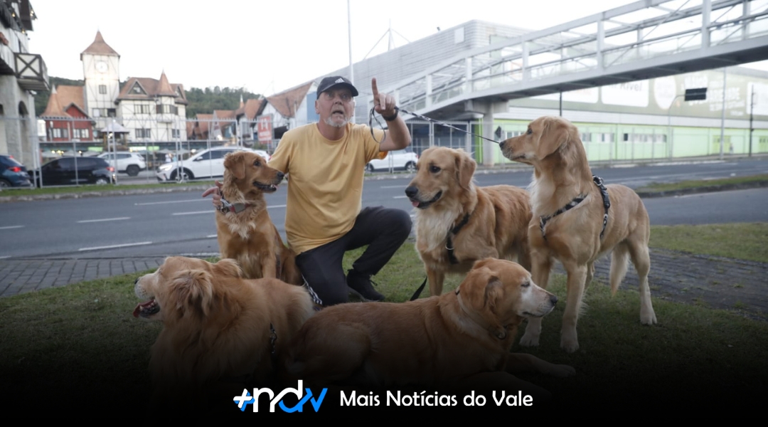 Família de goldens conquista moradores em passeios diários por Blumenau