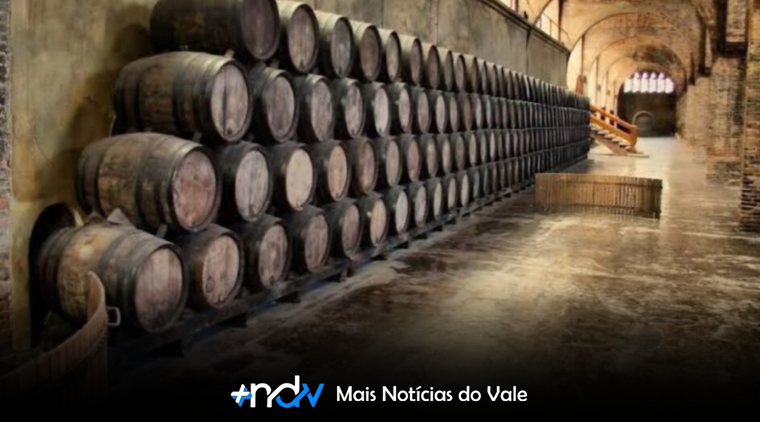 A evolução da experiência do vinho ao longo da história