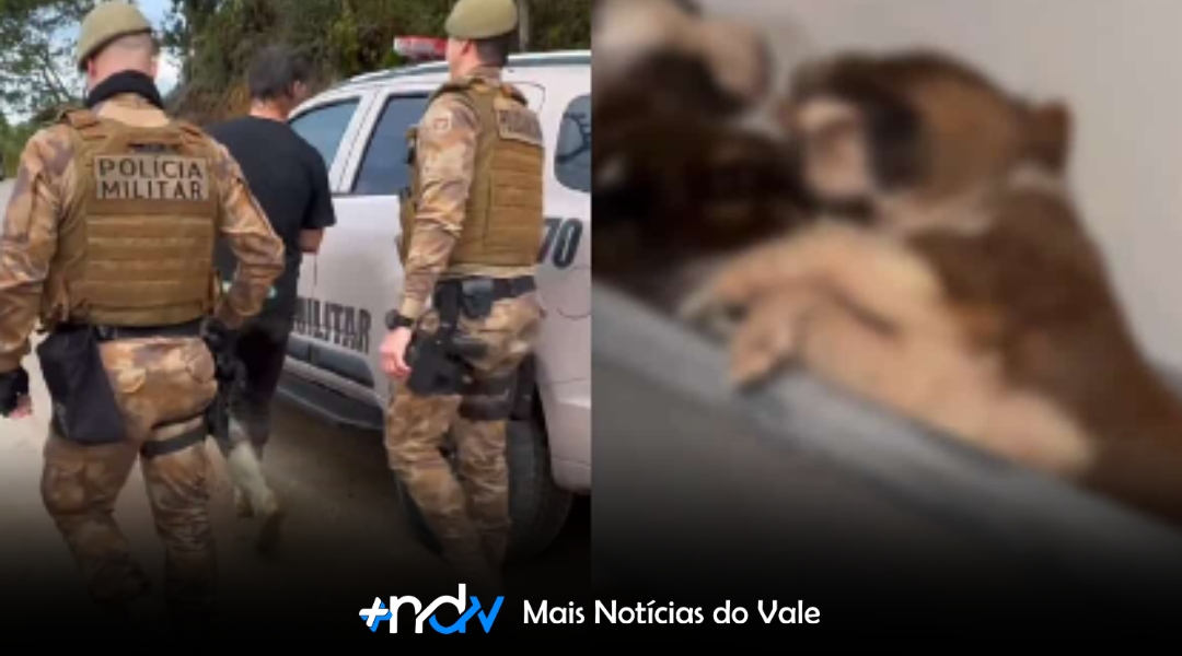 Quase 80 cães são encontrados famintos, doentes e até mortos dentro de freezer em SC