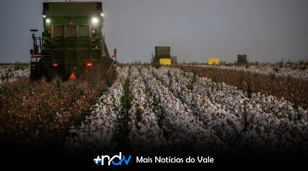 Indústria têxtil une forças com produtores de algodão para fortalecer produto nacional