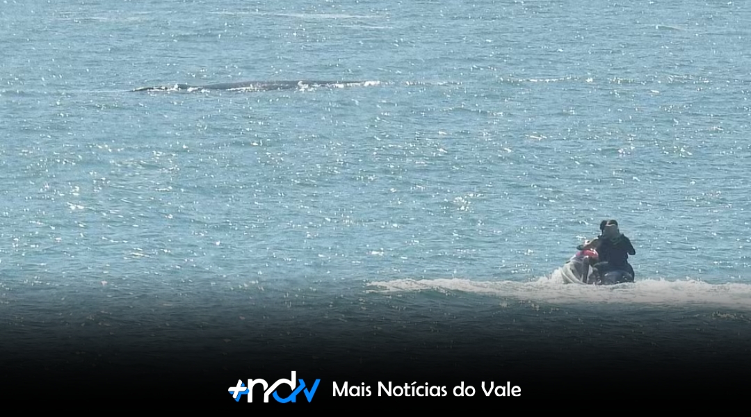 Flagrante em Garopaba termina em multa