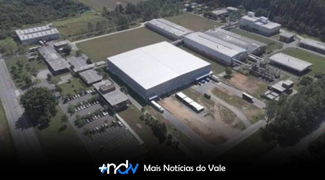 Como uma planta em SC virou potência na produção de toalhinhas para bebês