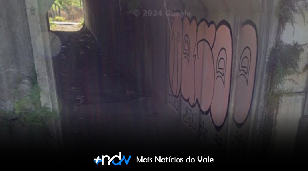 Ação voluntária transforma o viaduto da entrada de Indaial e inspira novos cuidados com a cidade