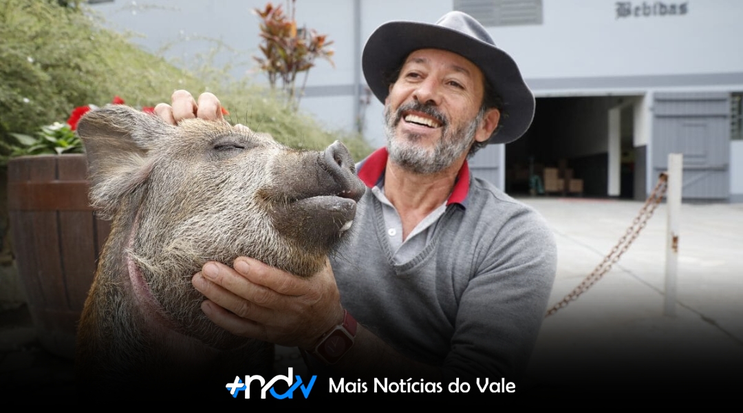 A nova “influencer” de Blumenau anda na coleira e adora passear