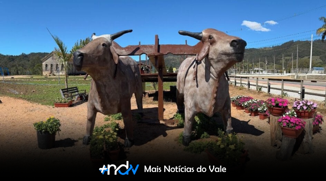 A pequena cidade catarinense que pode entrar para o Guinness Book
