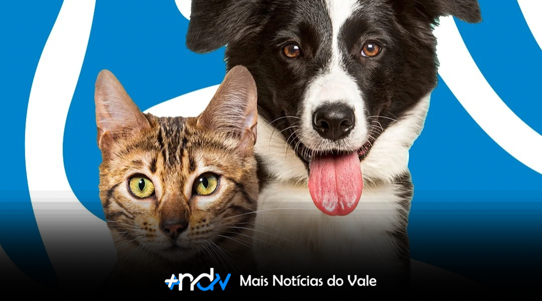 Mutirão de castração chega a Indaial com atendimento acessível a tutores de pets