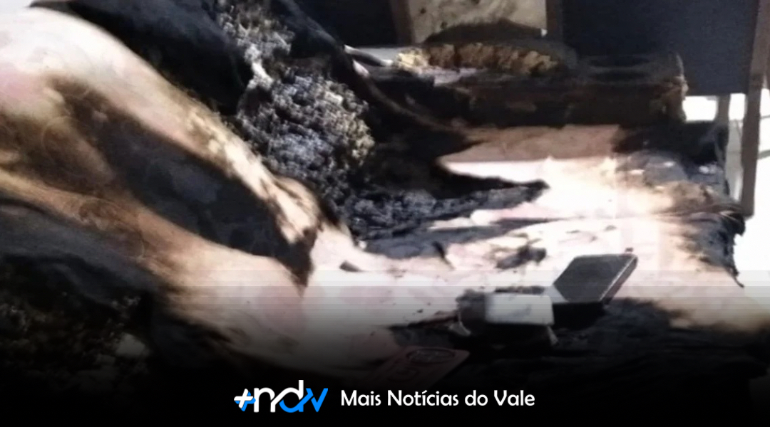 Noite de horror em Rio dos Cedros termina com jovem ferida e filhos acolhidos