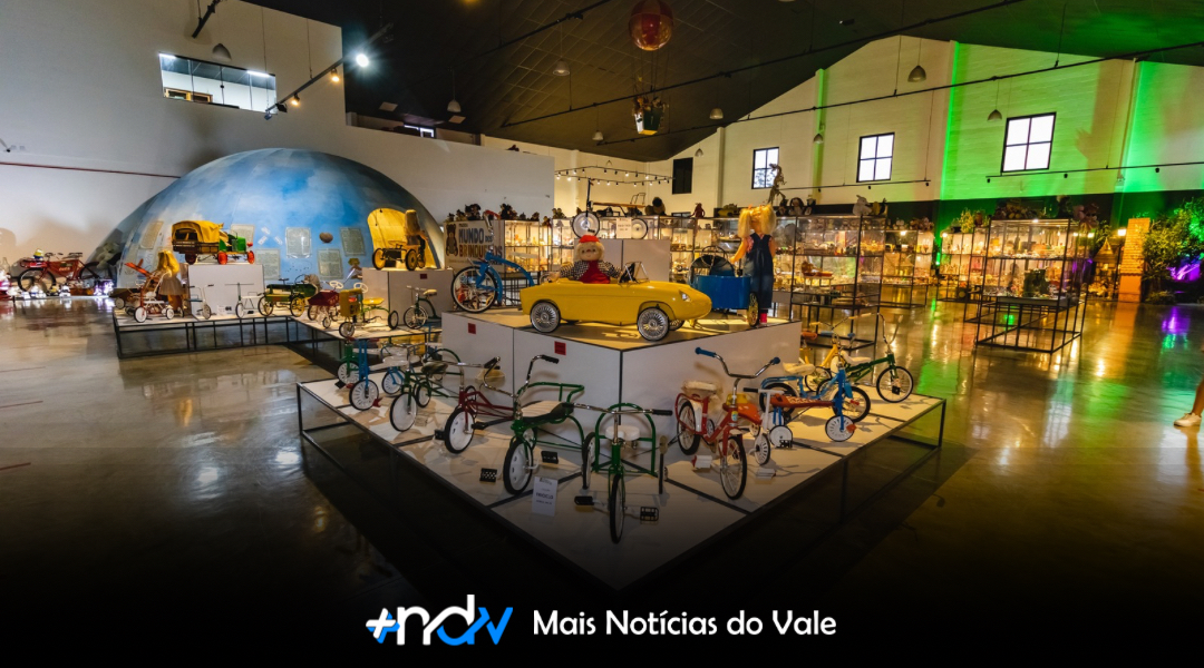 Um passeio que vai além da diversão