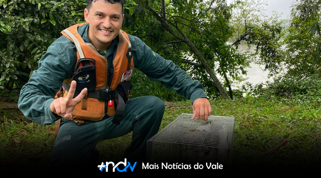 Indaial cria Diretoria de Bem-Estar Animal e nomeia Maicon Chaves como primeiro diretor da história do município
