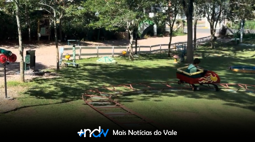 Criatividade sem limites: quintal vira parque de diversões em Santa Catarina