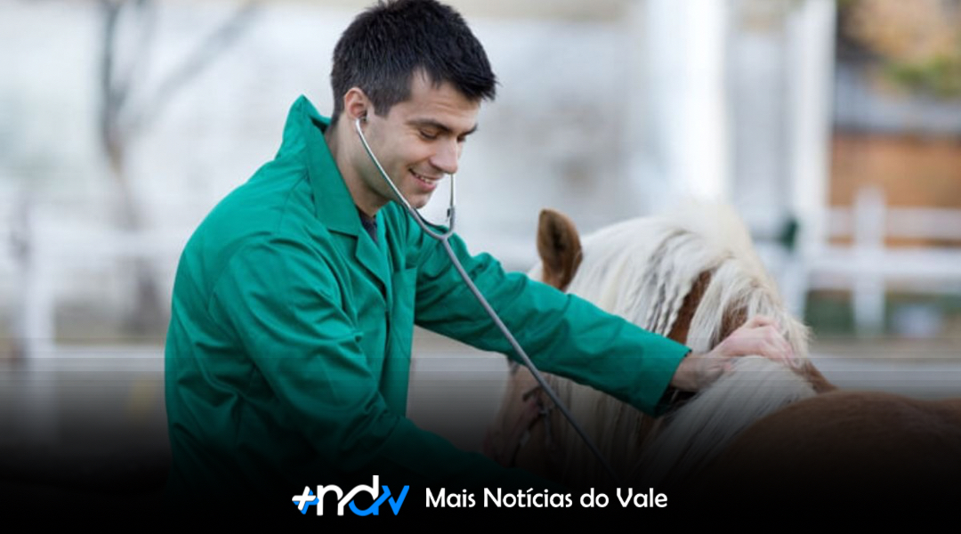 Quando o futuro surpreende: uma profissão cresce longe dos holofotes