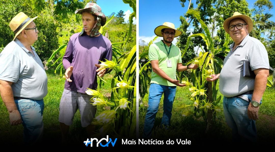 Entre lavouras e diálogo, um sinal de apoio constante
