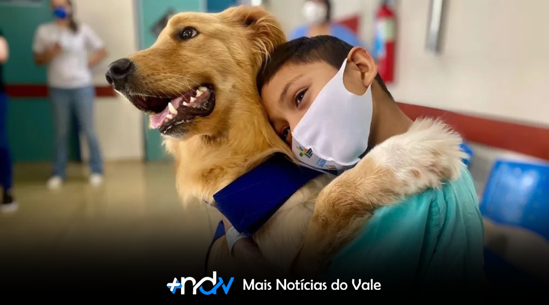 Projeto de lei quer permitir visitas de animais de estimação a pacientes internados em Blumenau
