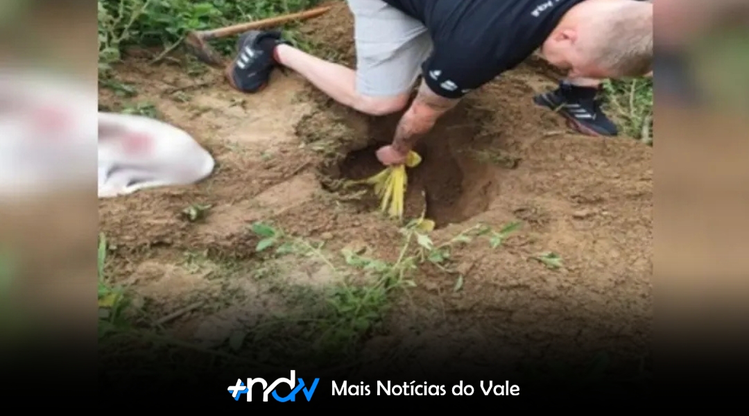 Homem de 63 anos é preso em SC após matar dois cães a machadadas