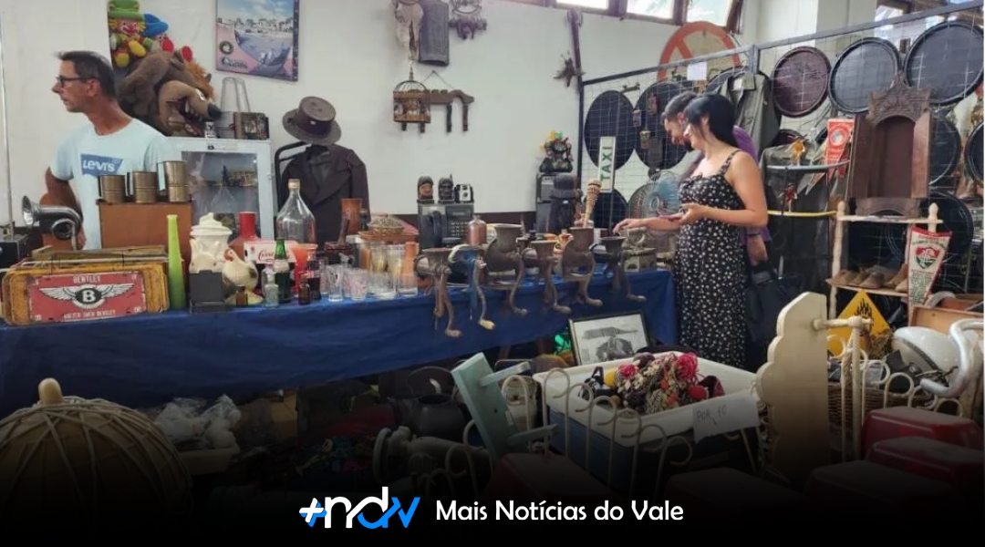 Brusque revive nostalgia com edição histórica do Mercado de pulgas