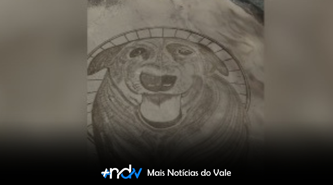 Quando a arte fala por quem não pode mais latir