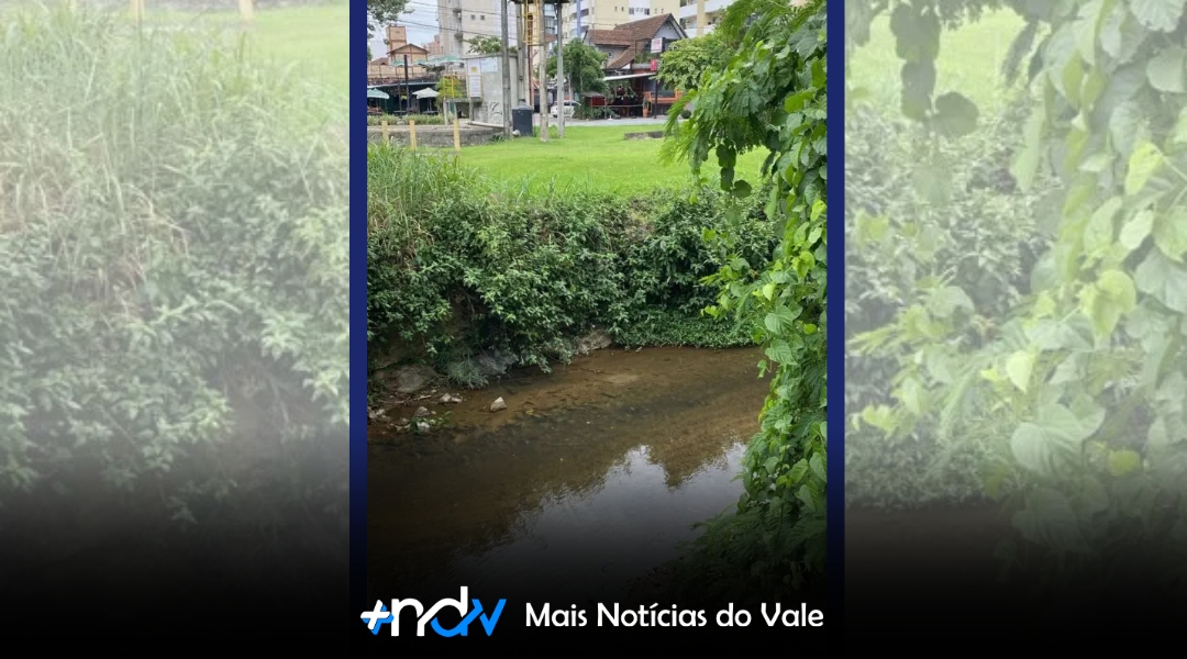 Saneamento transforma qualidade da água em Blumenau no Dia Mundial da Água