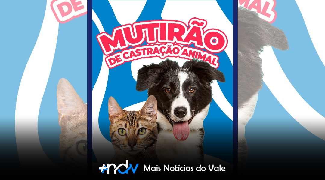 Mutirão de Castração de Cães e Gatos acontece em Indaial no dia 19 de abril