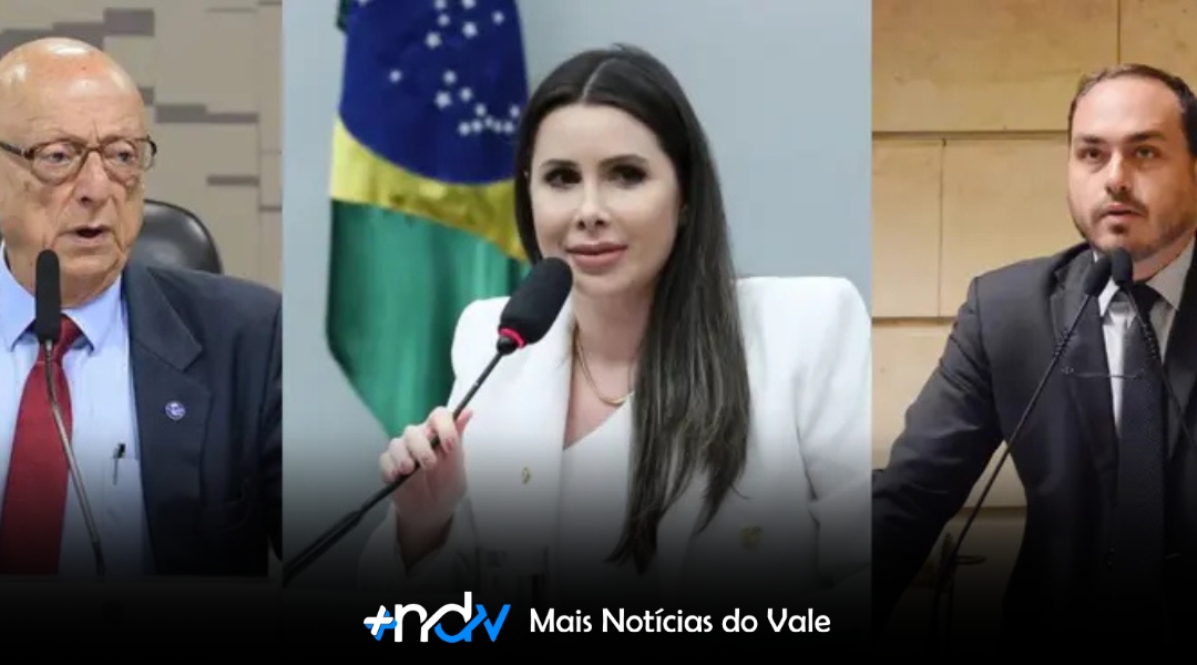 Carol De Toni lidera corrida ao Senado em Santa Catarina