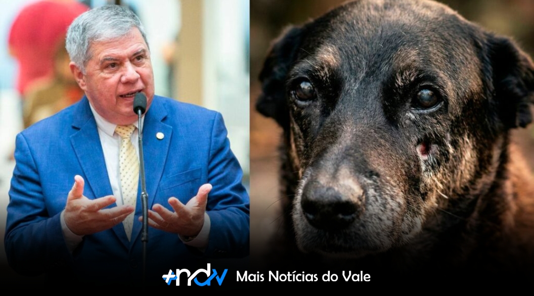 Deputado Mário Motta protocola pedido de CPI para investigar morte do cão Orelha