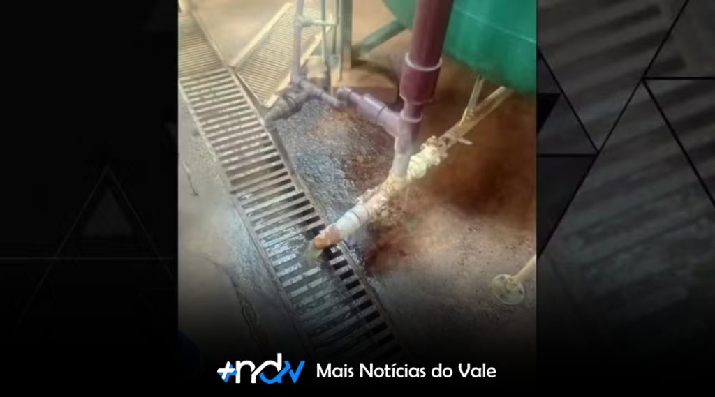 Imagens revelam inspeção sanitária em fábrica da Ypê após alerta da Anvisa