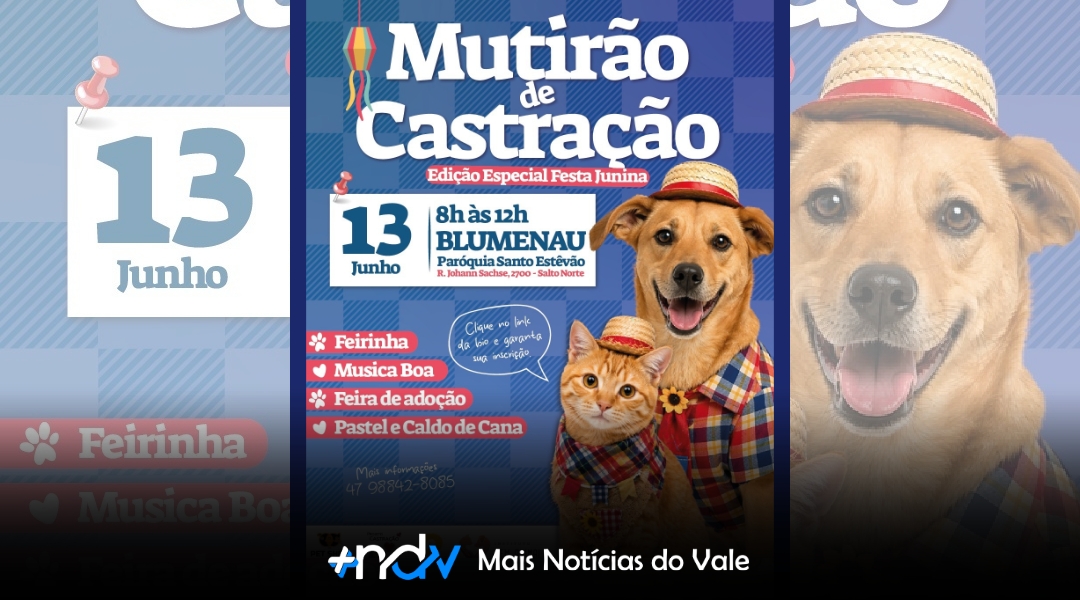 Blumenau recebe mutirão de castração com edição especial de Festa Junina em junho