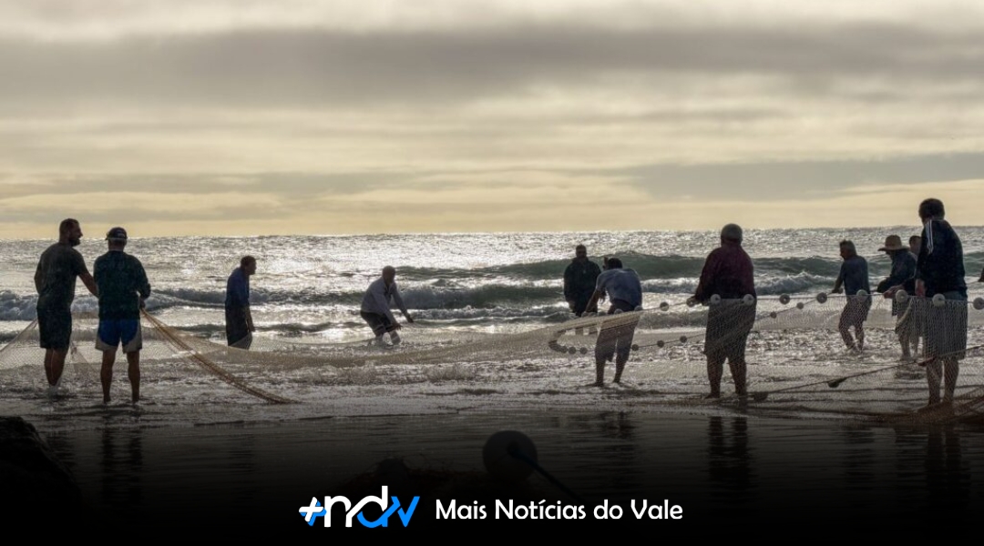 Governo de SC aciona Justiça Federal para derrubar cotas da pesca artesanal da tainha