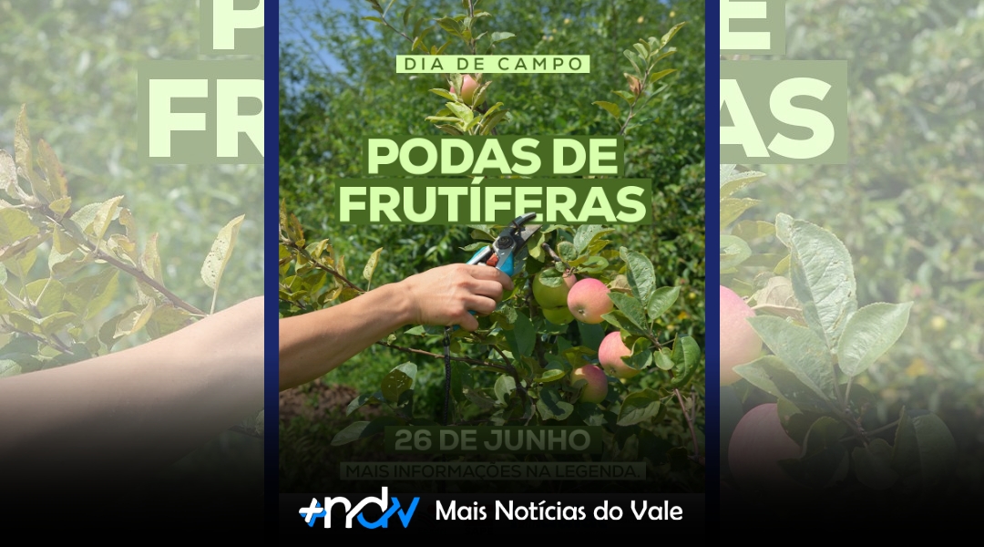 Indaial promove Dia de Campo sobre podas de frutíferas e manejo sustentável