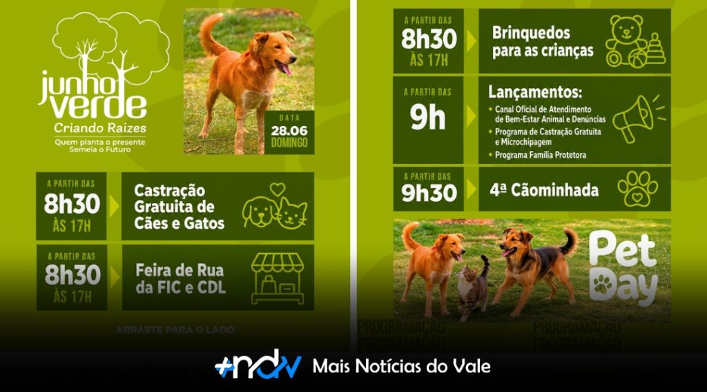 Pet Day reúne castrações, Cãominhada e novos programas de proteção animal em Indaial