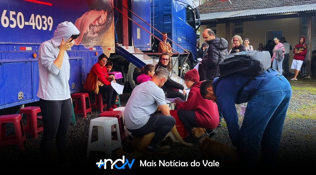 Indaial orienta tutores sobre castração gratuita de animais neste domingo
