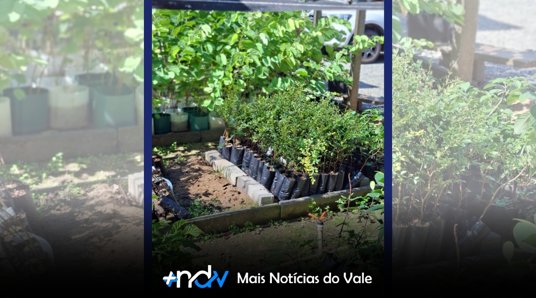 Delivery de Mudas volta a integrar programação do Junho Verde em Indaial