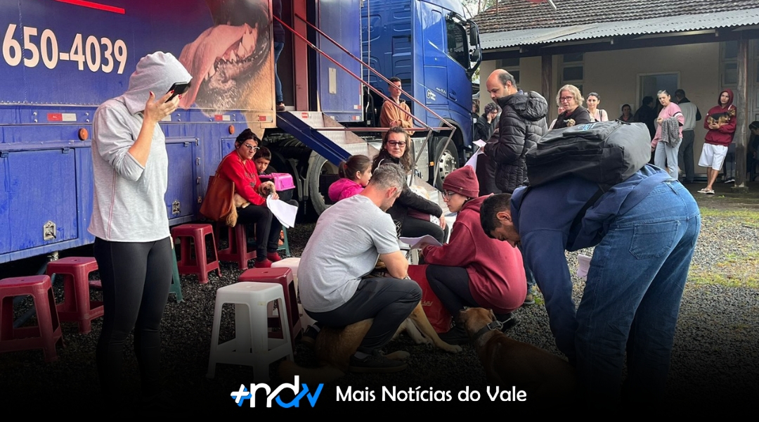 Mutirão oferecerá 300 vagas para castração e microchipagem de animais em Indaial