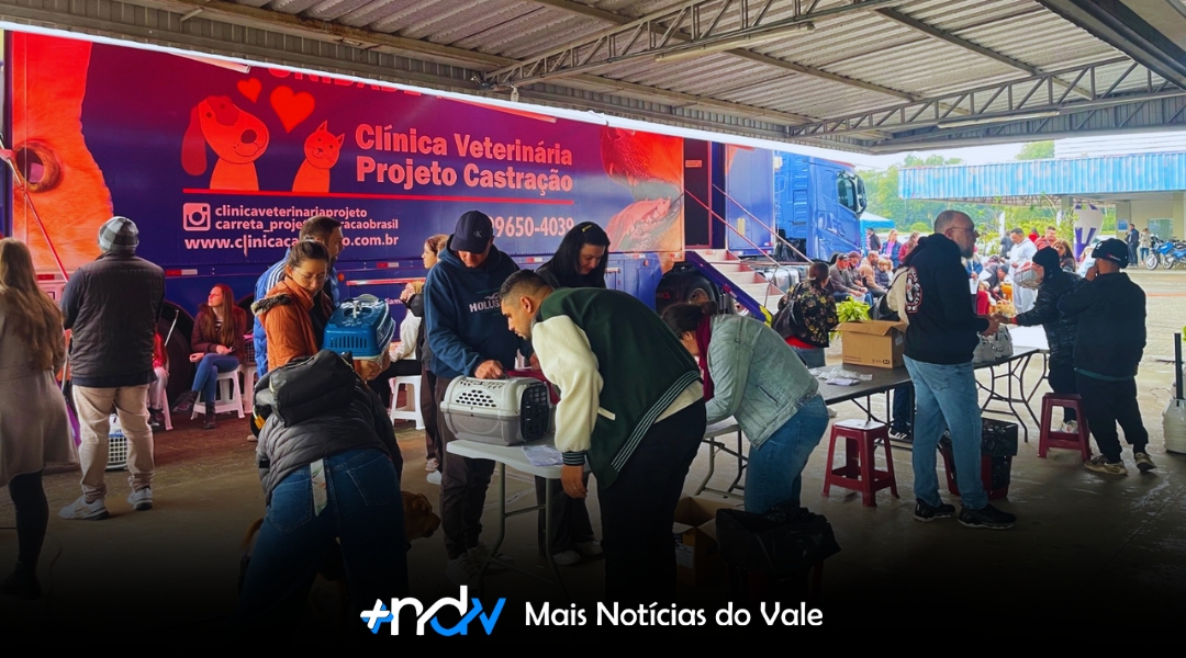 Indaial realiza nova etapa de castração gratuita de cães e gatos no dia 12 de julho