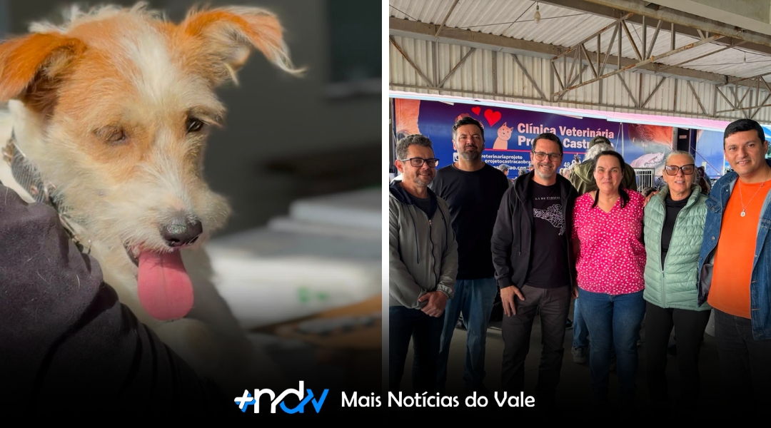 Indaial realiza segunda etapa da castração gratuita e anuncia nova edição para agosto